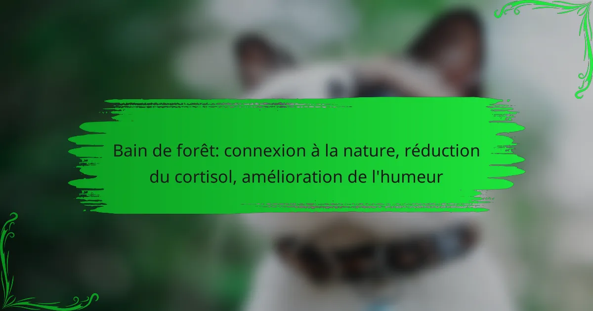 Bain de forêt: connexion à la nature, réduction du cortisol, amélioration de l’humeur