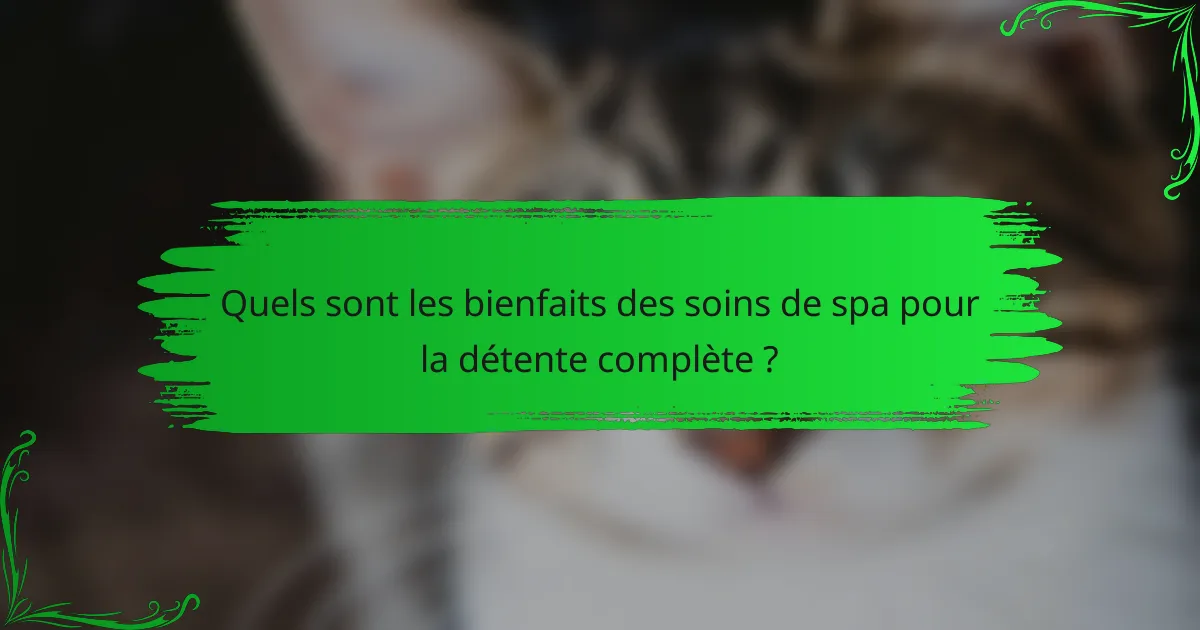 Quels sont les bienfaits des soins de spa pour la détente complète ?